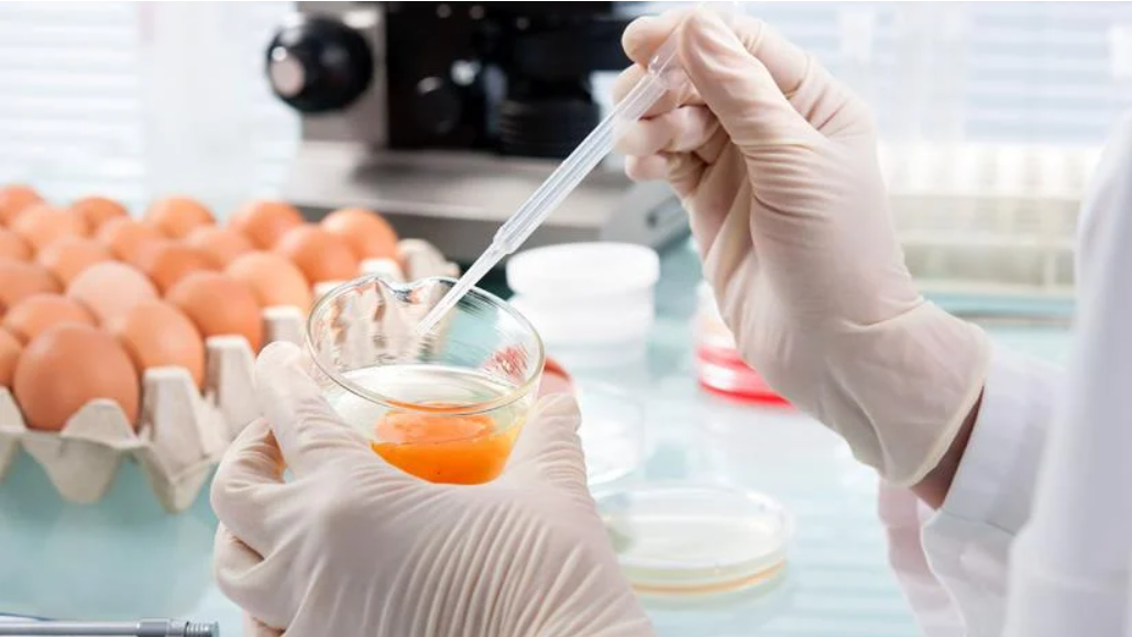 Ngày An toàn Thực phẩm Thế giới 2025 – Dấu mốc buổi đầu tham gia của VFSA