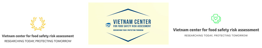 LOGO VFSA - Ảnh 4